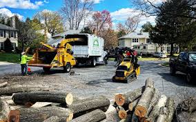 Best Tree Risk Assessment  in Colbert, OK